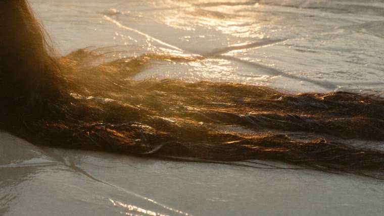 Longue mèche de cheveux foncés posée sur une pierre humide, les reflets ambrés du soleil rasant sur les longueurs