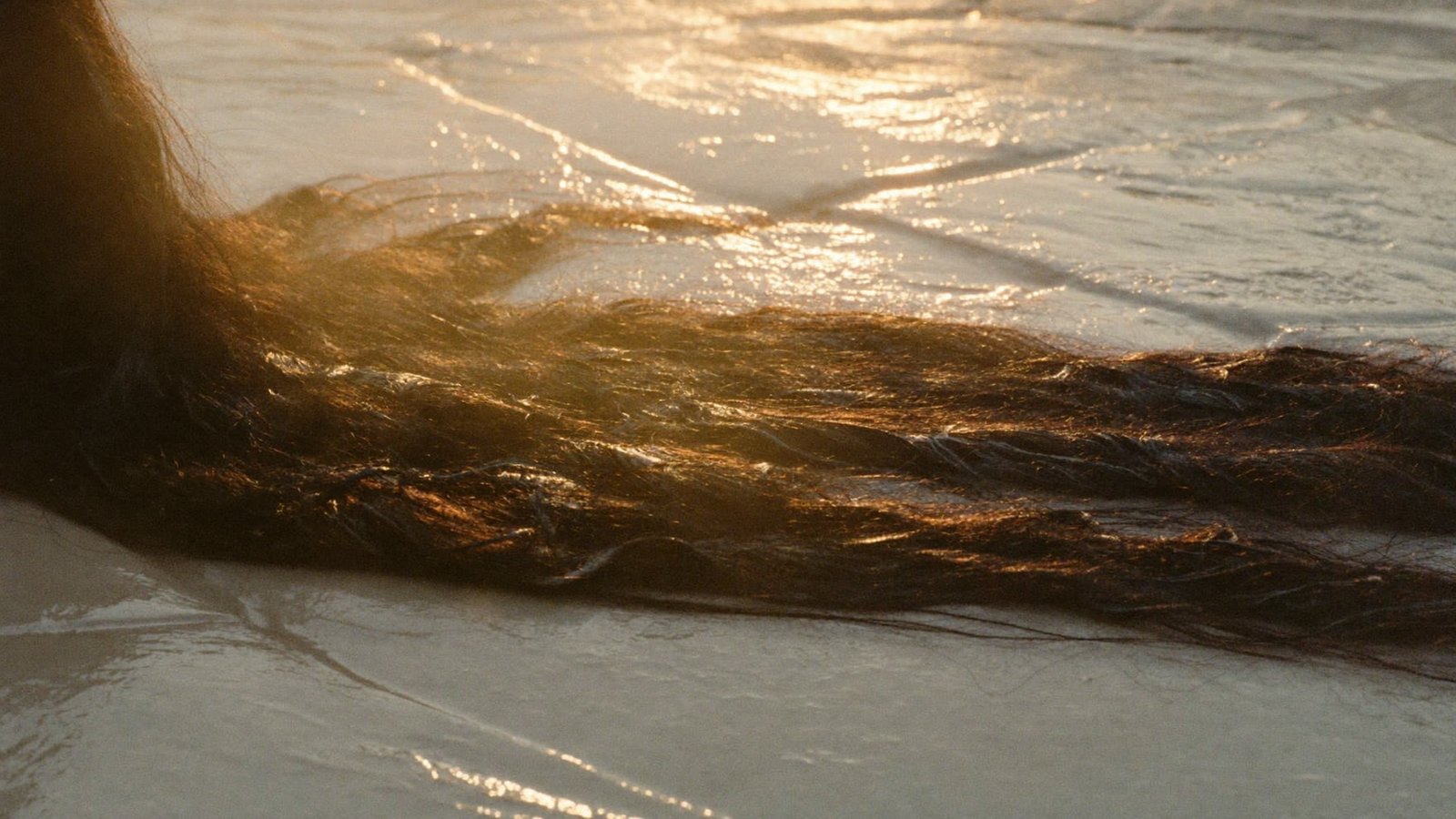 Longue mèche de cheveux foncés posée sur une pierre humide, les reflets ambrés du soleil rasant sur les longueurs